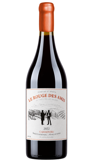 LE ROUGE DES AMIS CARMÉNÈRE PREMIUM  – VALLE DEL CACHAPOAL